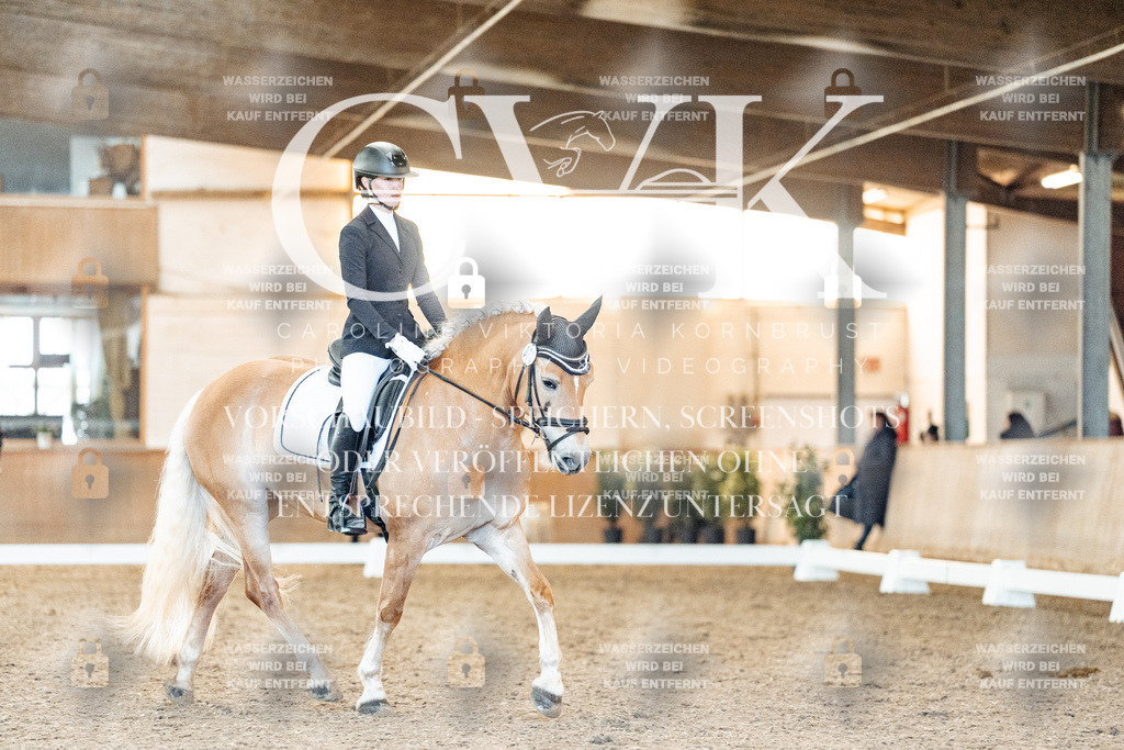 CK907033 | Turnierfotografie Pferdefotografie Trier Rheinland-Pfalz Pferdesport Reitsport Tierfotografie Sportfotografie Pferdevideo Pferdevideografie Equestrianvideography equestrianphotography  - Realisiert mit Pictrs.com