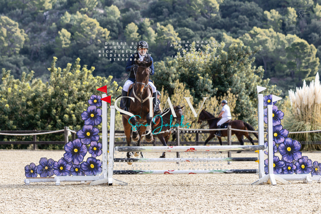 IMG_5637 | s-jay-photography - Realisiert mit Pictrs.com