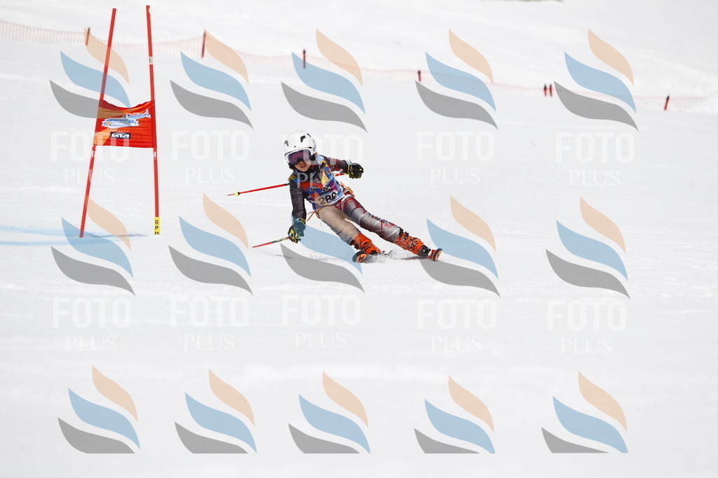 _U3G7236 | holidayphoto