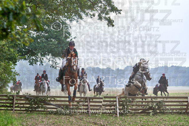 09-23 Jagd Perdöl_MCH9667_Marina Hewig | Fotografie, FotoArt, PferdesportArt, Pferdesportfotografie, Landschaftsfotografie, Reisefotografie, Reise, Pferde - Realisiert mit Pictrs.com