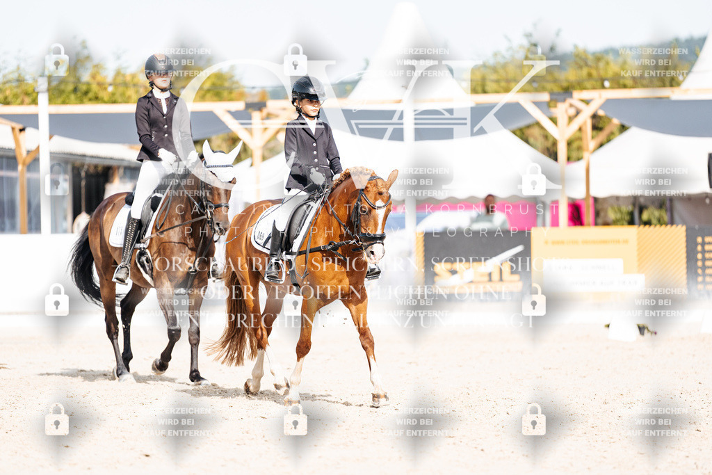 CK905235 | Turnierfotografie Pferdefotografie Trier Rheinland-Pfalz Pferdesport Reitsport Tierfotografie Sportfotografie Pferdevideo Pferdevideografie Equestrianvideography equestrianphotography  - Realisiert mit Pictrs.com