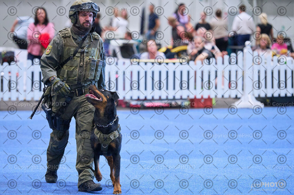 202406_ÖKV-IHA-Tulln24_DSC_3555 | proPHOTO - Realisiert mit Pictrs.com