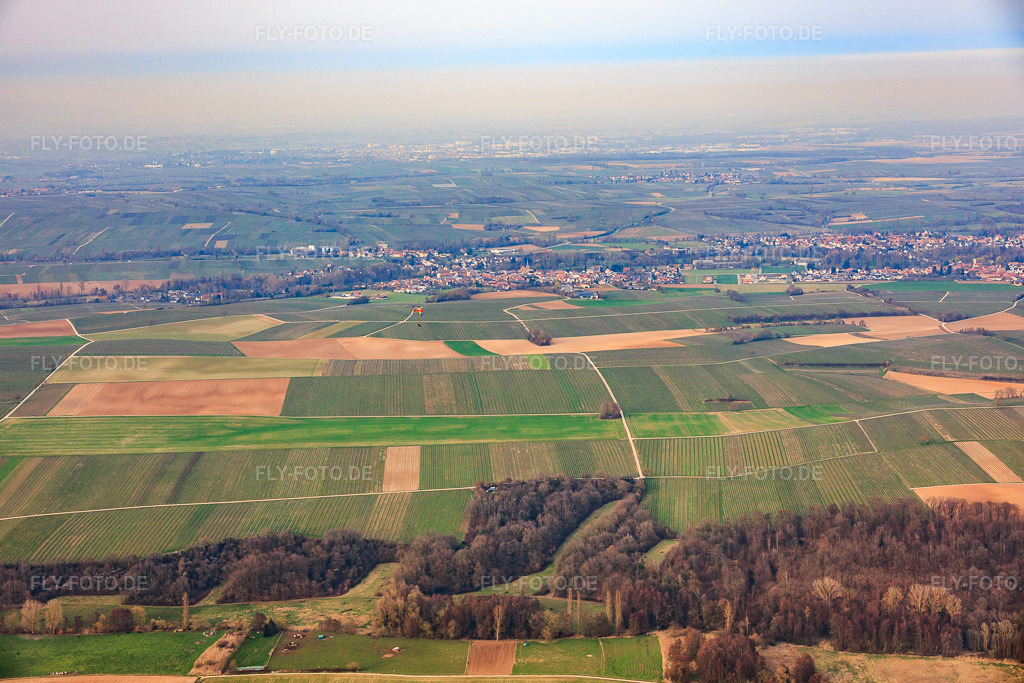 Luftbild: Tiefental aus Süden im Ortsteil Ingenheim in Billigheim-Ingenheim im Bundesland Rheinland-Pfalz in Deutschland. Foto: IMG_153411.jpg vom 06.03.2026 durch Werner Riehm/FLY-FOTO.de