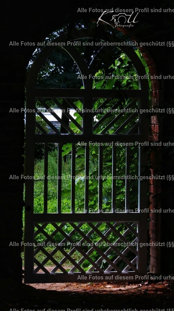 Photo_1753818998804 | krollfotografie - Realisiert mit Pictrs.com