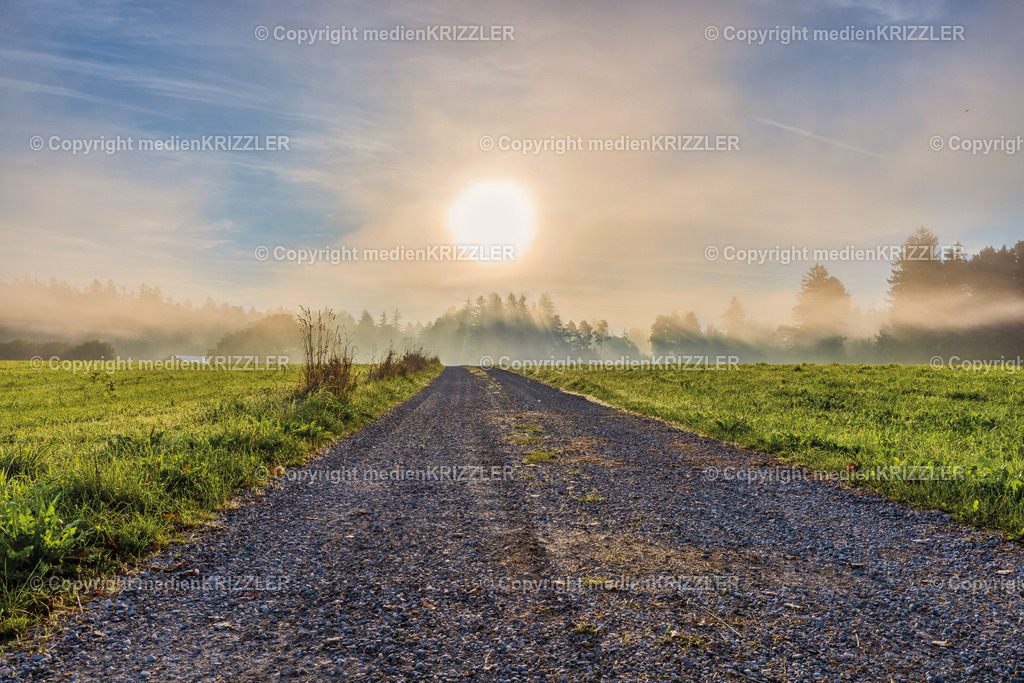 _J3A8555 | medienkrizzler - Realisiert mit Pictrs.com