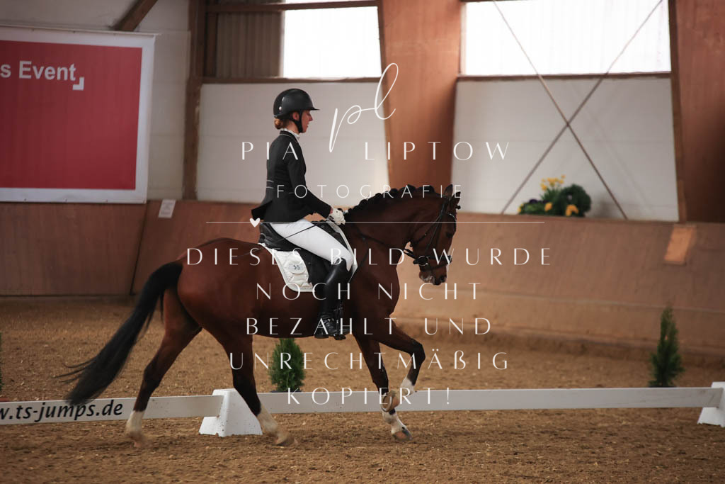 IMGT7134 | pl-fotografie