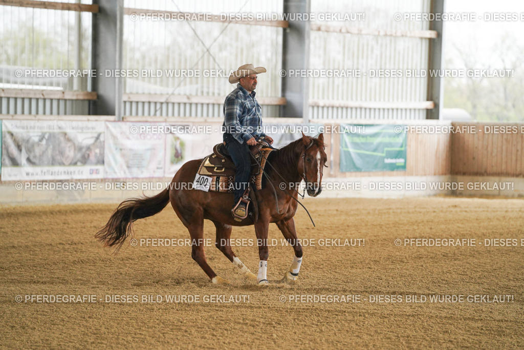 DSC07278 | Pferdegrafie