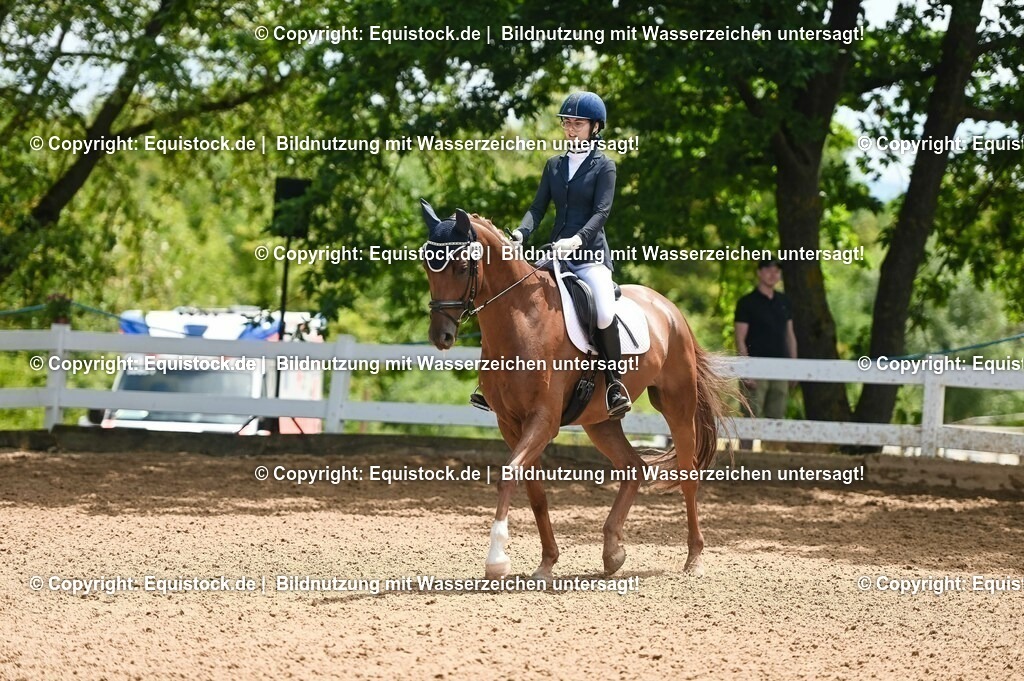 20230716_03_Dressurprfg. Kl.L - Tr._0298 | equistock