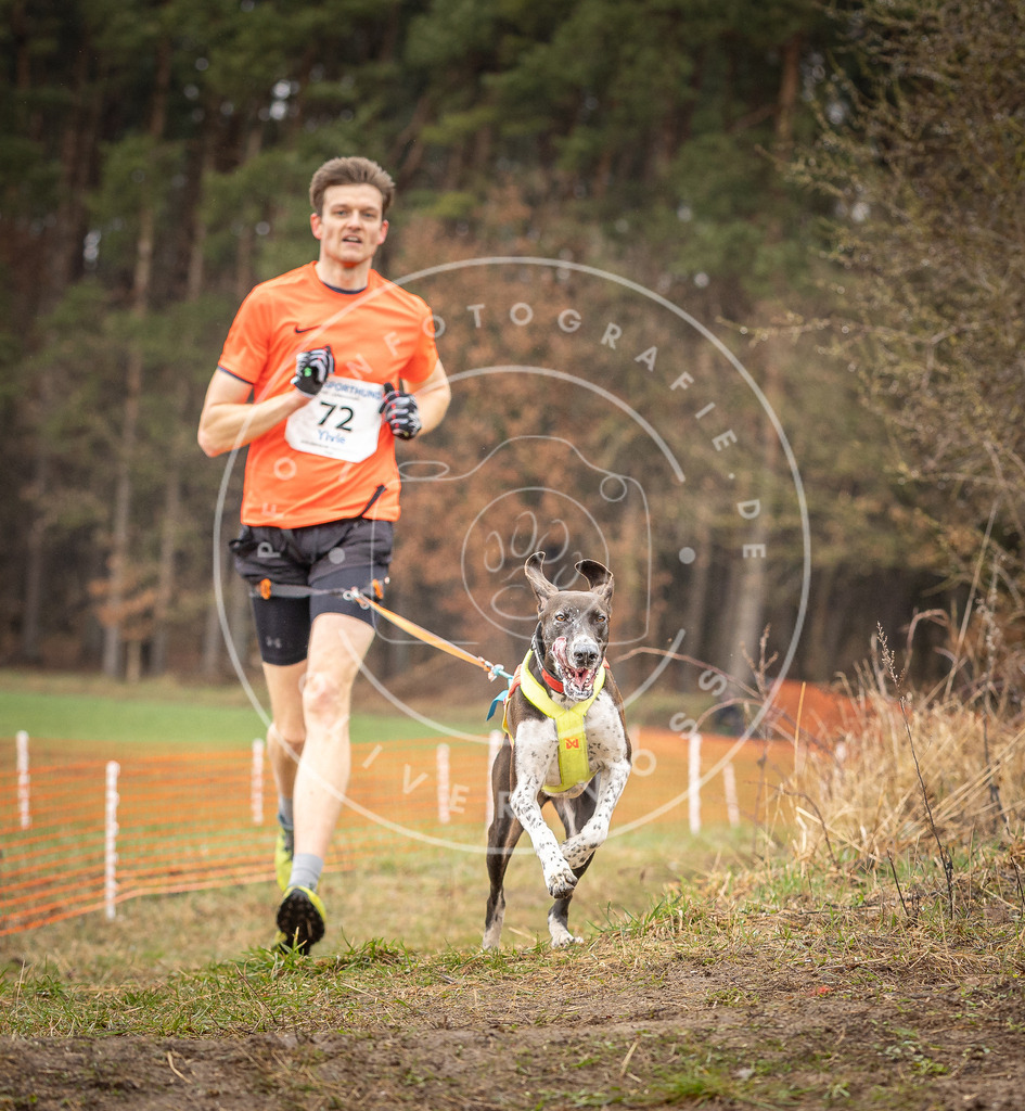 DV3A0206 | Hundefotografie, Tierfotograf, Pfotenfotografie, Fotoshooting Hund, Hunde Portrait, Hundesport, Hundeportraits, Heideshooting, Hunde, Sportfotograf, Hundefotograf, Turnierhundsport, THS,  - Realisiert mit Pictrs.com