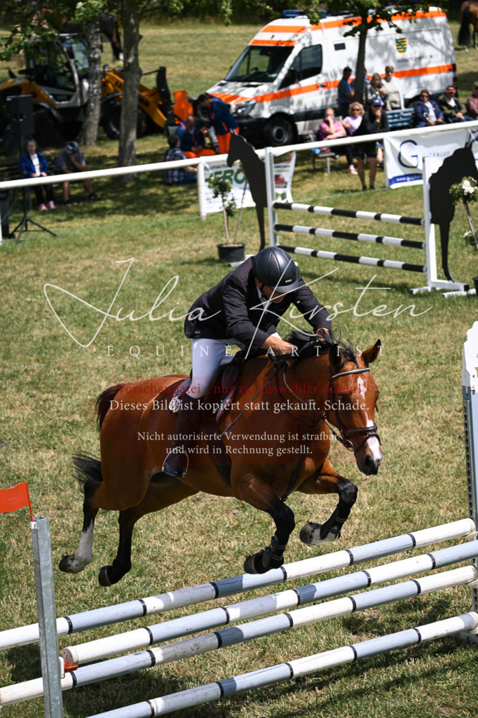 DSC_9414 | Pferde- und Turnierfotografie in Westsachsen. Pferdeportraits, Auftragszeichnungen und intuitive Kunst.