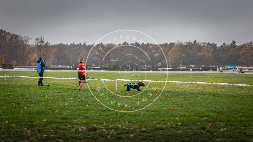 CaniXpix_DV3A8894 | Hundefotografie, Tierfotograf, Pfotenfotografie, Fotoshooting Hund, Hunde Portrait, Hundesport, Hundeportraits, Heideshooting, Hunde, Sportfotograf, Hundefotograf, Turnierhundsport, THS,  - Realisiert mit Pictrs.com