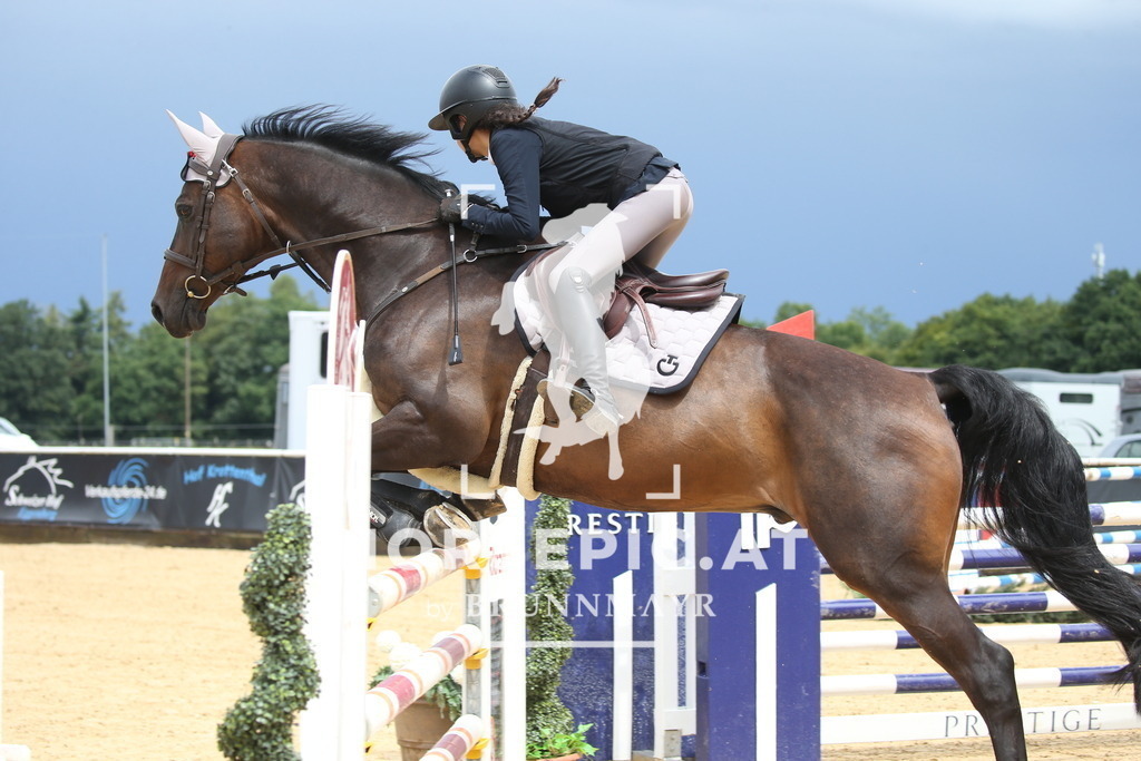 DL2Q2433 | Willkommen bei Brunnmayr - Design & Fotografie – Ihrem Spezialisten für Reitturniere und Pferdeveranstaltungen in Oberösterreich, Salzburg und Bayern! Seit über 17 Jahren sind wir leidenschaftlich dabei.