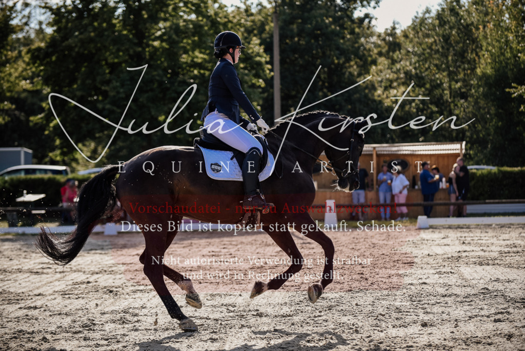 DSC_0569 | Pferde- und Turnierfotografie in Westsachsen. Pferdeportraits, Auftragszeichnungen und intuitive Kunst.