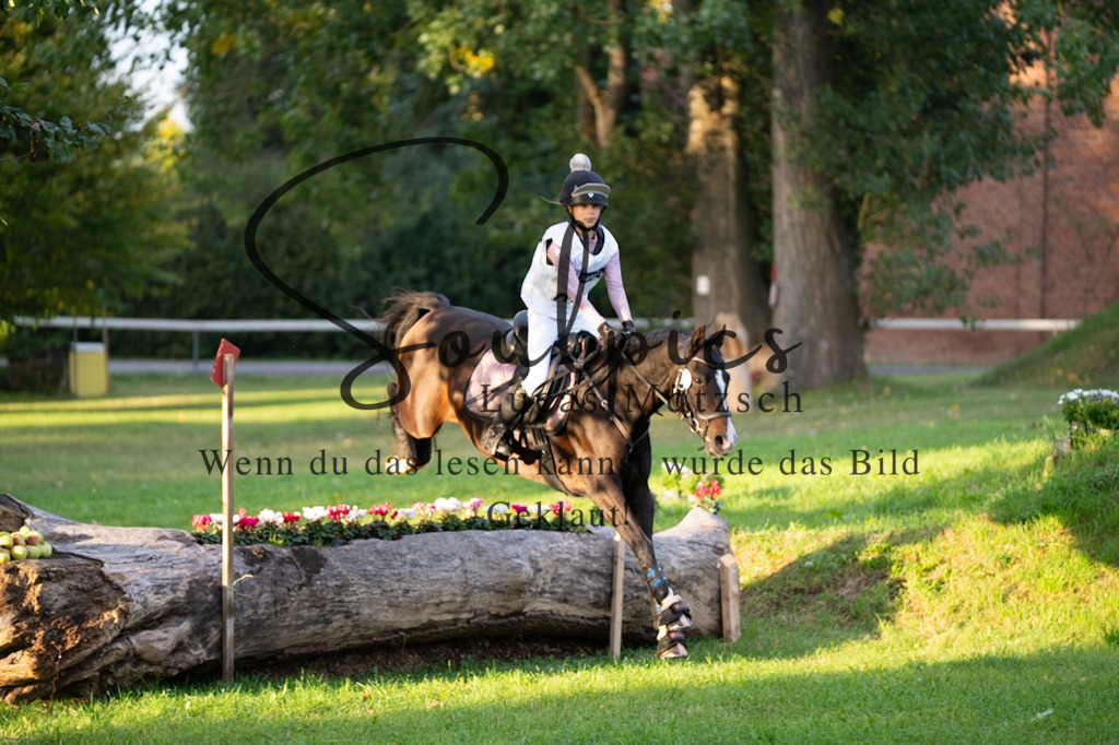 A7V02823 | Turnier/Reitfotograf