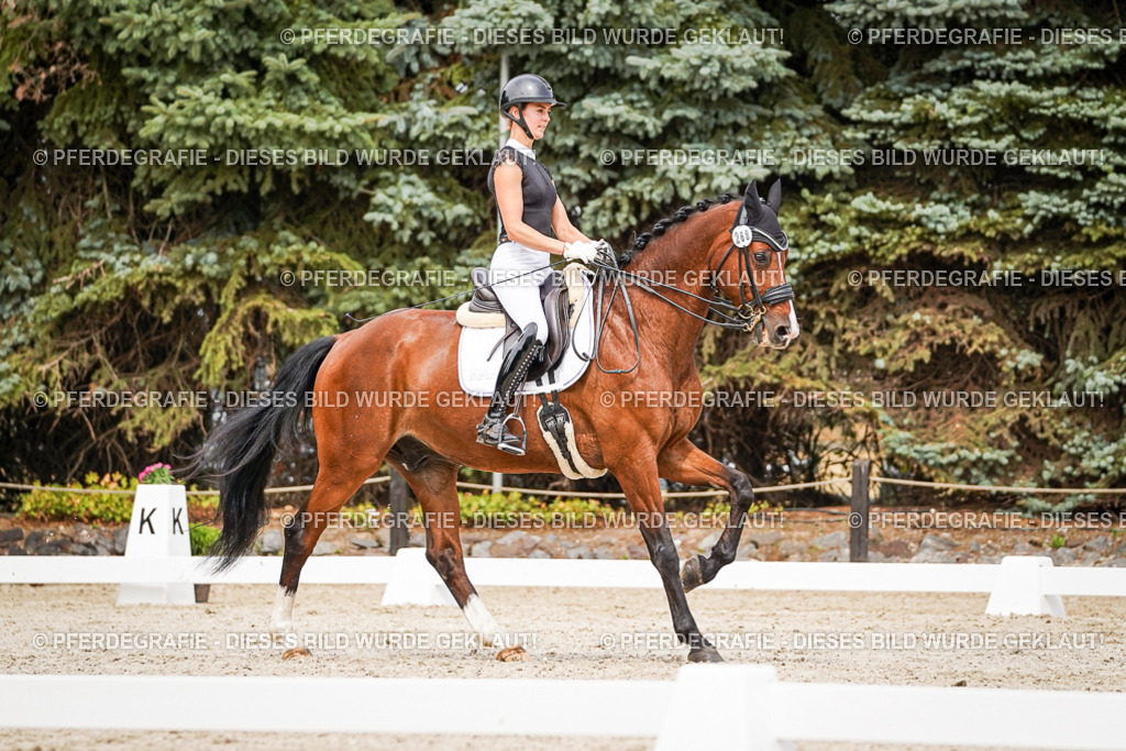 DSC05939 | Pferdegrafie