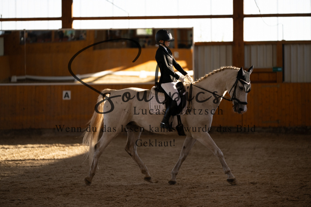 A7V01666 | Turnier/Reitfotograf