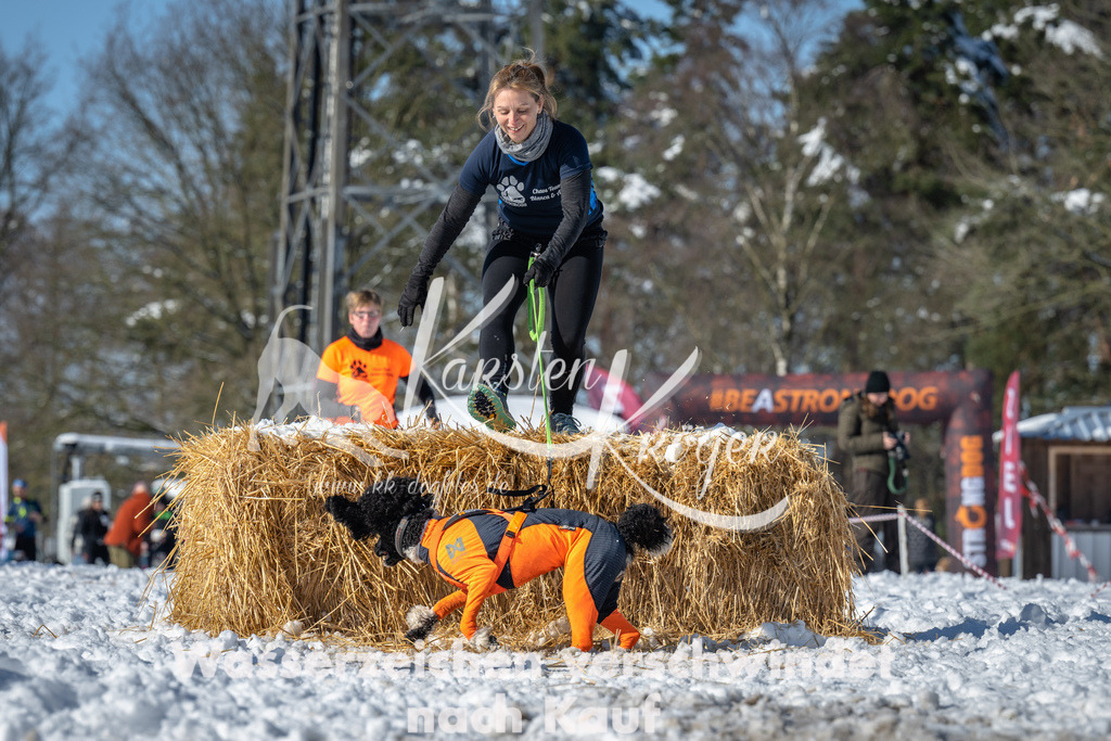 1126_ZZ92125-3 | kk-dogfotos
