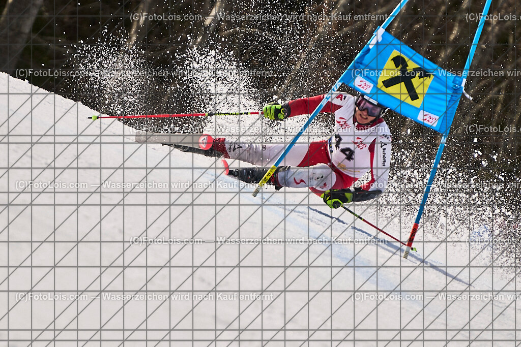 ALP8568_Herrn-FIS-GS-II_Lackenhof-WY_MALLE Sebastian | Internationaler FIS GiantSlalom der Herrn auf der Distelpiste in Lackenhof am Di 11. März 2025.  Österreich, LSV-NÖ, Sportunion Waidhofen/Ybbs (2035).