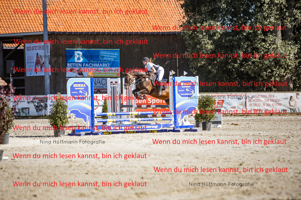 BK1A8105 | Turnierbilder Turnierfotos Nina Hüffmann Turnierfotografie Pferdefotografie Tierzeichnung Haustierzeichnung Pferdezeichnung Hundezeichnung Videograf  - Realisiert mit Pictrs.com