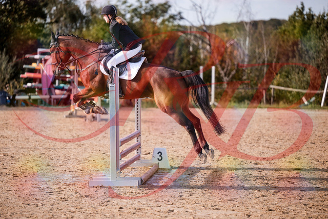 2026_10_03_Siefer-Hof_161028_Z81_89953061 | Professionelle Reitsport-, Turnier- und Eventfotografie von Robert Broda. Galerien mit ausgewählten und bearbeiteten Bildern direkt online ansehen und bestellen.
