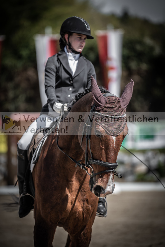 DSC_9965 | equestrian-live-com