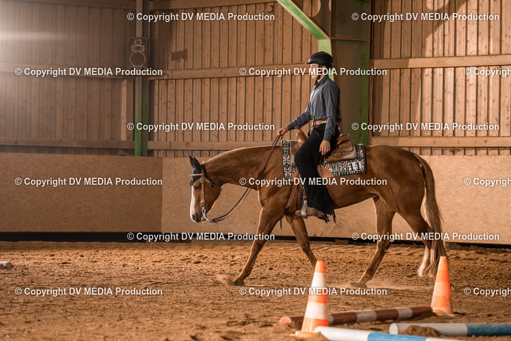 BA400013 | dv-media-shop - Realisiert mit Pictrs.com