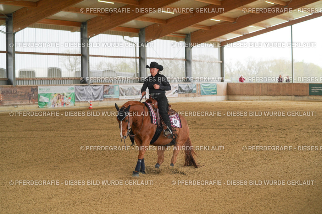 DSC07037 | Pferdegrafie