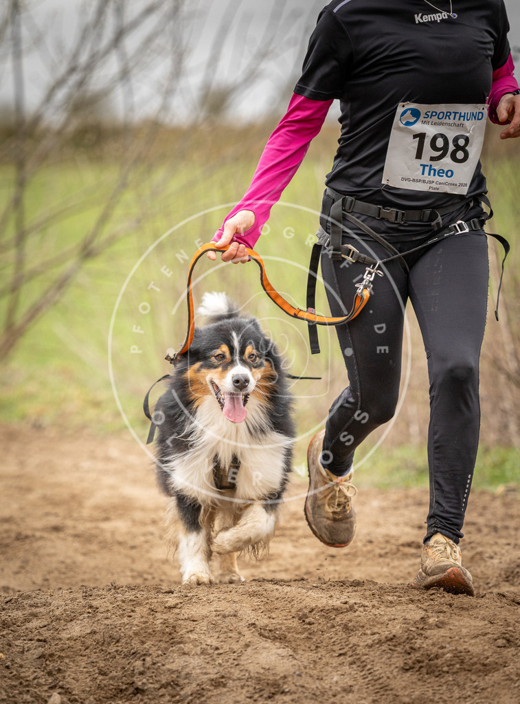 DV3A2446 | Hundefotografie, Tierfotograf, Pfotenfotografie, Fotoshooting Hund, Hunde Portrait, Hundesport, Hundeportraits, Heideshooting, Hunde, Sportfotograf, Hundefotograf, Turnierhundsport, THS,  - Realisiert mit Pictrs.com