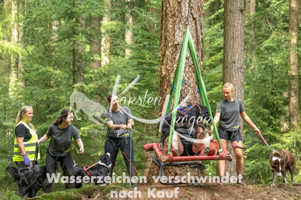 1347_ZZ93640-Bearbeitet | kk-dogfotos