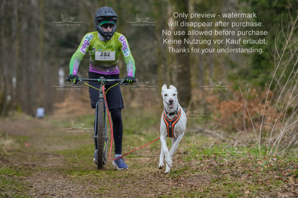 BikekurzSa-16 | stephaniefillaphotographie - Realisiert mit Pictrs.com