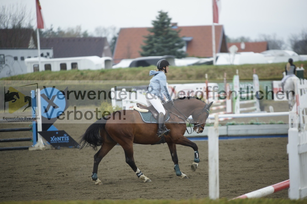 _DSC3782 | equestrian-live-com