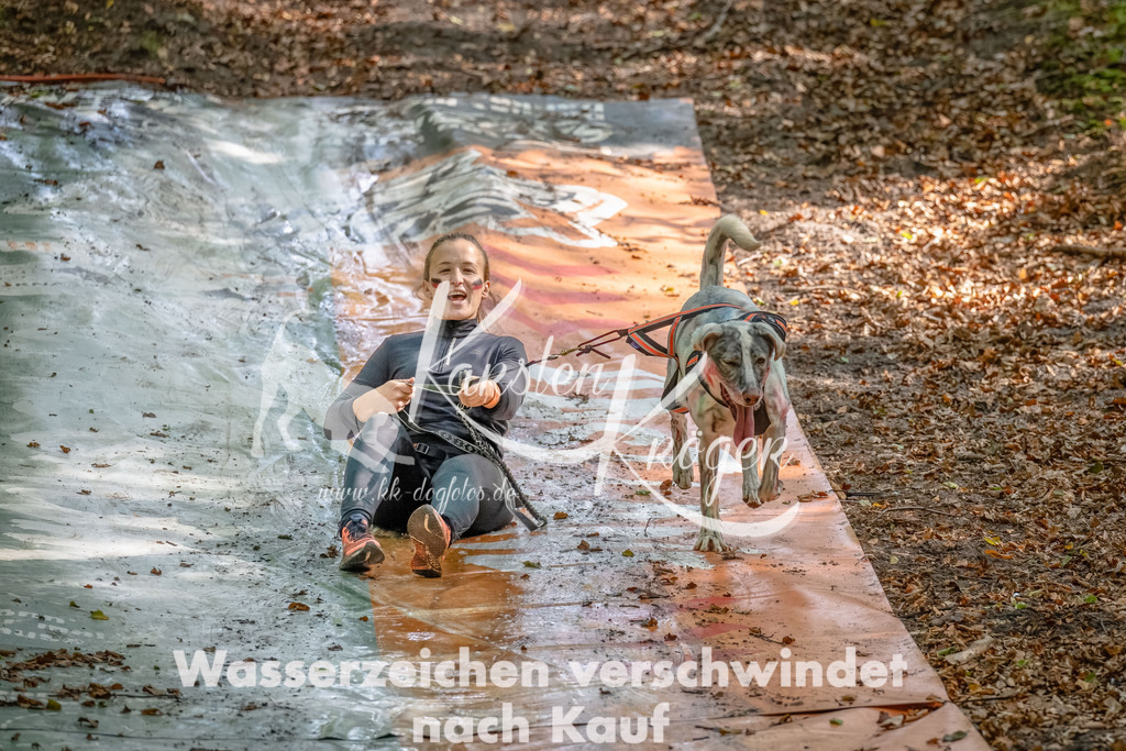 1149_ZZ92690-Bearbeitet | kk-dogfotos