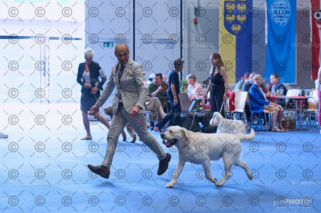 202406_ÖKV-IHA-Tulln24_DSC_4162 | proPHOTO - Realisiert mit Pictrs.com