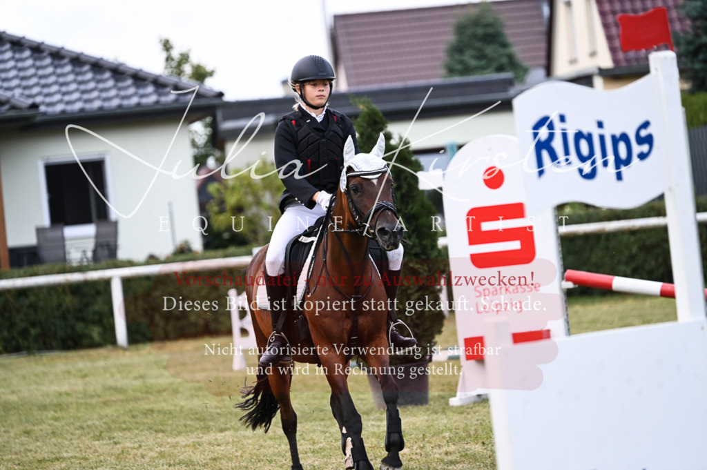 DSC_5702 | Pferde- und Turnierfotografie in Westsachsen. Pferdeportraits, Auftragszeichnungen und intuitive Kunst.