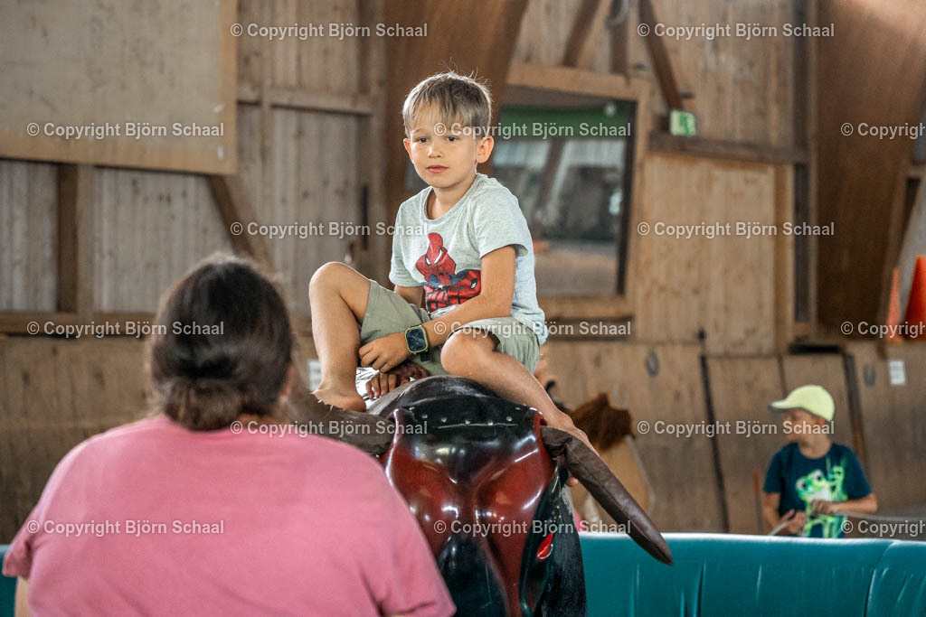 HOB01083 | BS-foto