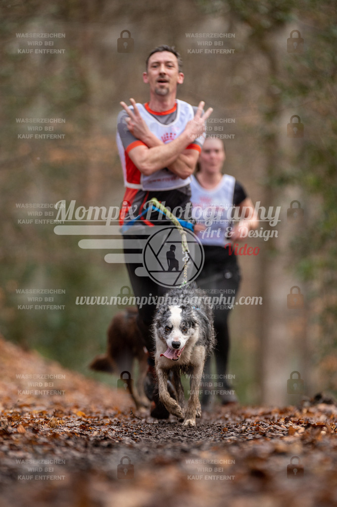 SPA_2023_DIM_CCL-135 | PayLife