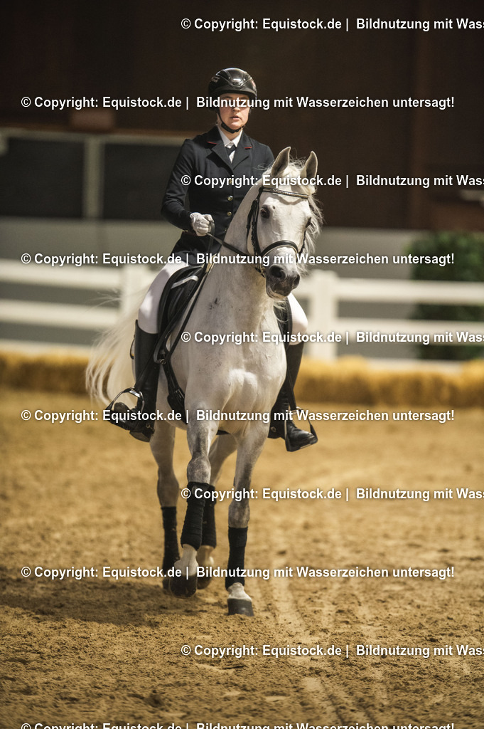 20240302_Hengstvorstellung_Marbach_TOMsPiC_1006-2 | equistock