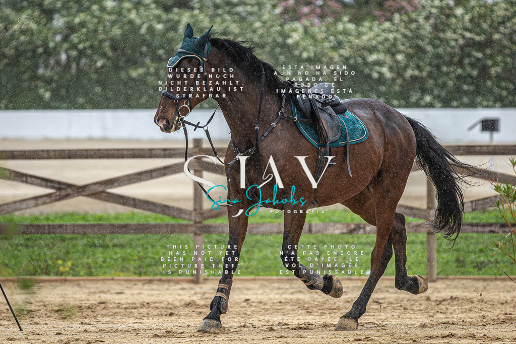 IMG_1598-Verbessert-RR | s-jay-photography - Realisiert mit Pictrs.com