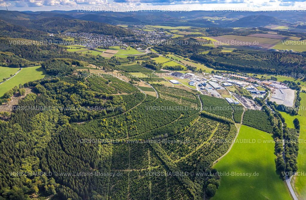 Schmallenberg220903518BadFredeburg | , Luftbild, Gewerbegebiet Hochsauerland an der BundesstraÃŸe B511, Baumsiedlung, Tannenwald, Wormbach, Schmallenberg, Sauerland, Nordrhein-Westfalen, Deutschland