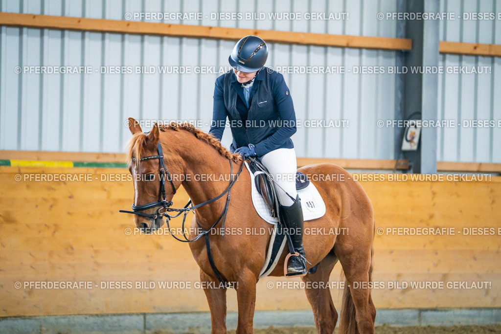 DSC01063 | Pferdegrafie