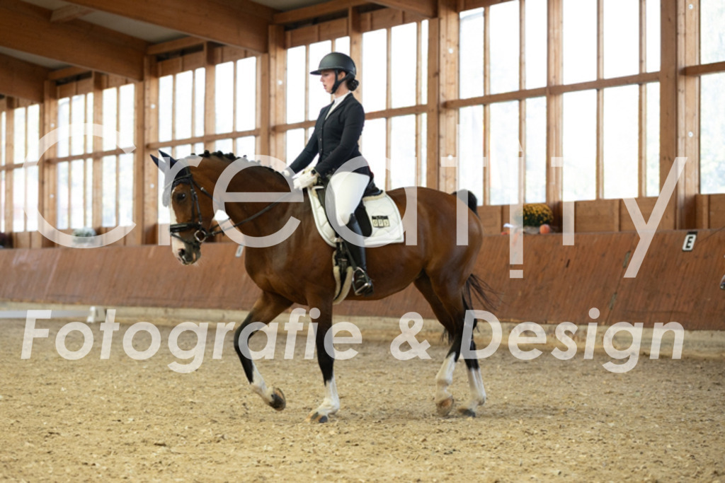 IMG_5010 | Creatify Fotografie