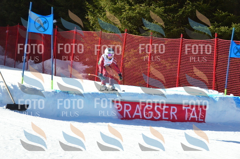 C3533 | holidayphoto