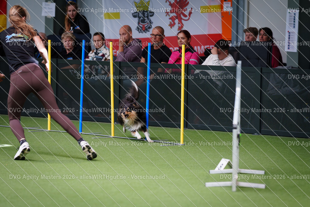 allesWIRTHgut_Tierfotografie-DVG_Agility_Masters_2026-11_12-7R505155 | Professionelle Tierfotografie in Mönchengladbach von Daniel Wirth (allesWIRTHgut). Liebevolle & natürliche Bilder von Hunden & Katzen für unvergessliche Erinnerungen.