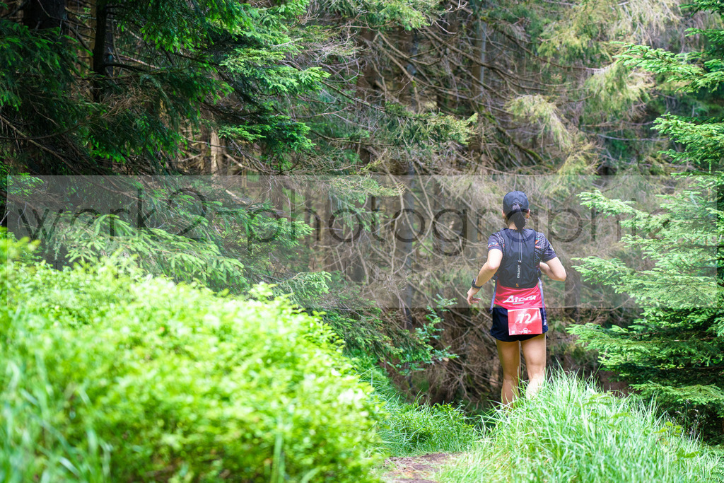 Schneekopflauf 2024 | Am 6. Juli 2024 startete der 21. Schneekopflauf von Schmiedefeld zum Schneekopf.