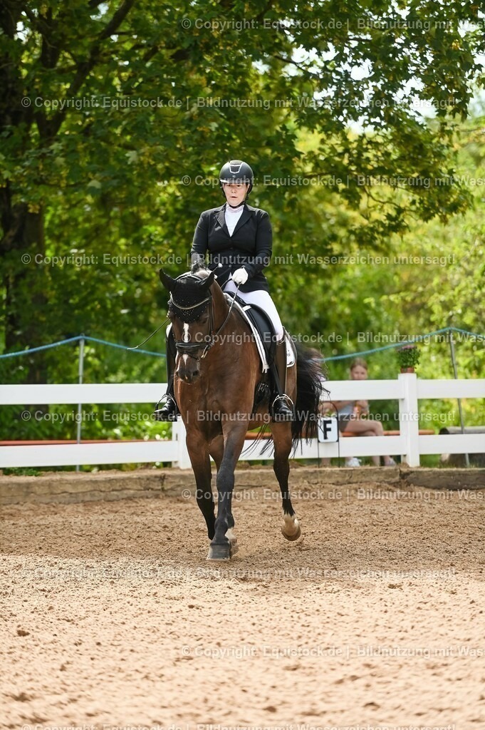 20230715_07_Dressurpferdeprfg. Kl.L_0108 | equistock