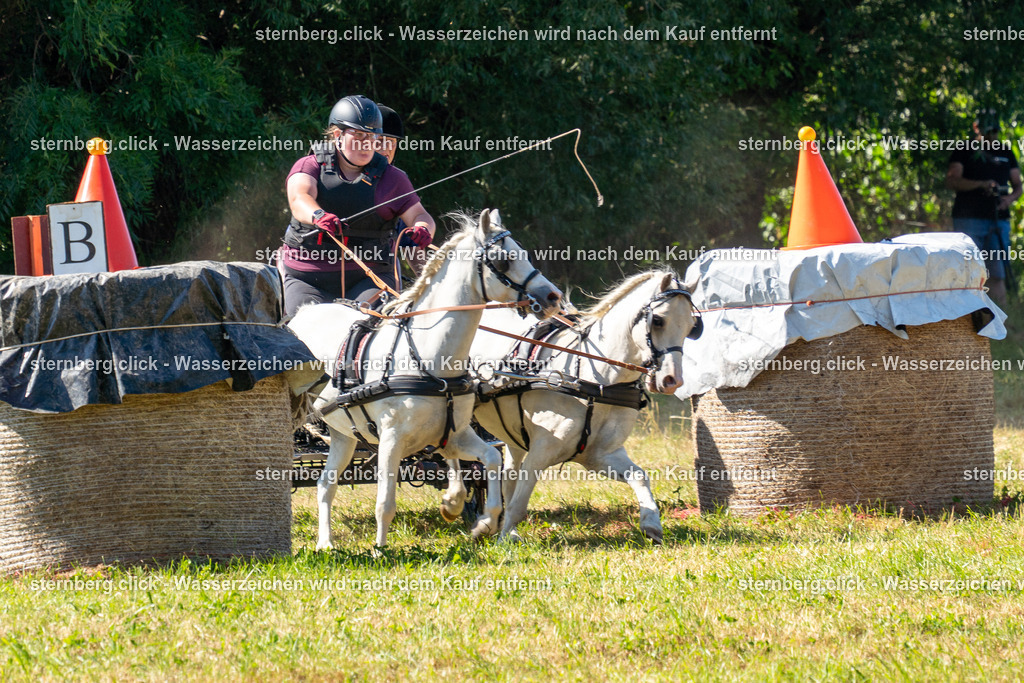 2026-08-08_14-15-30_WBO_Pulsnitz | sternberg.click - Realisiert mit Pictrs.com