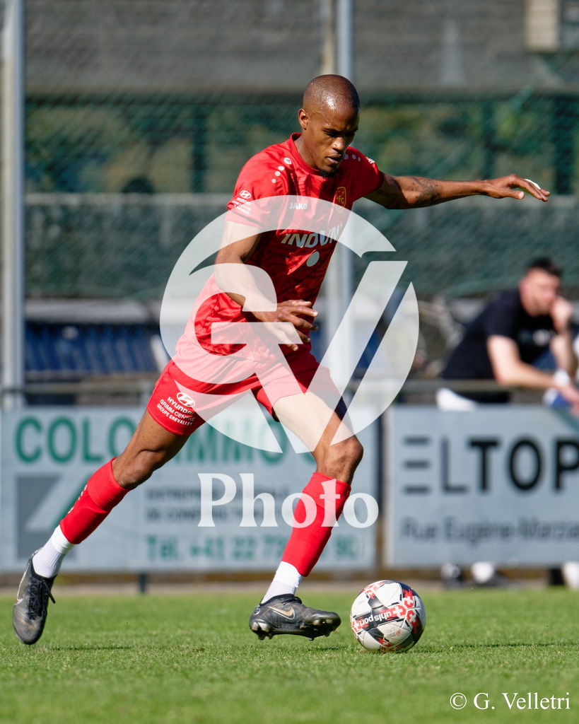 DSC_8886 | Velletri Photo