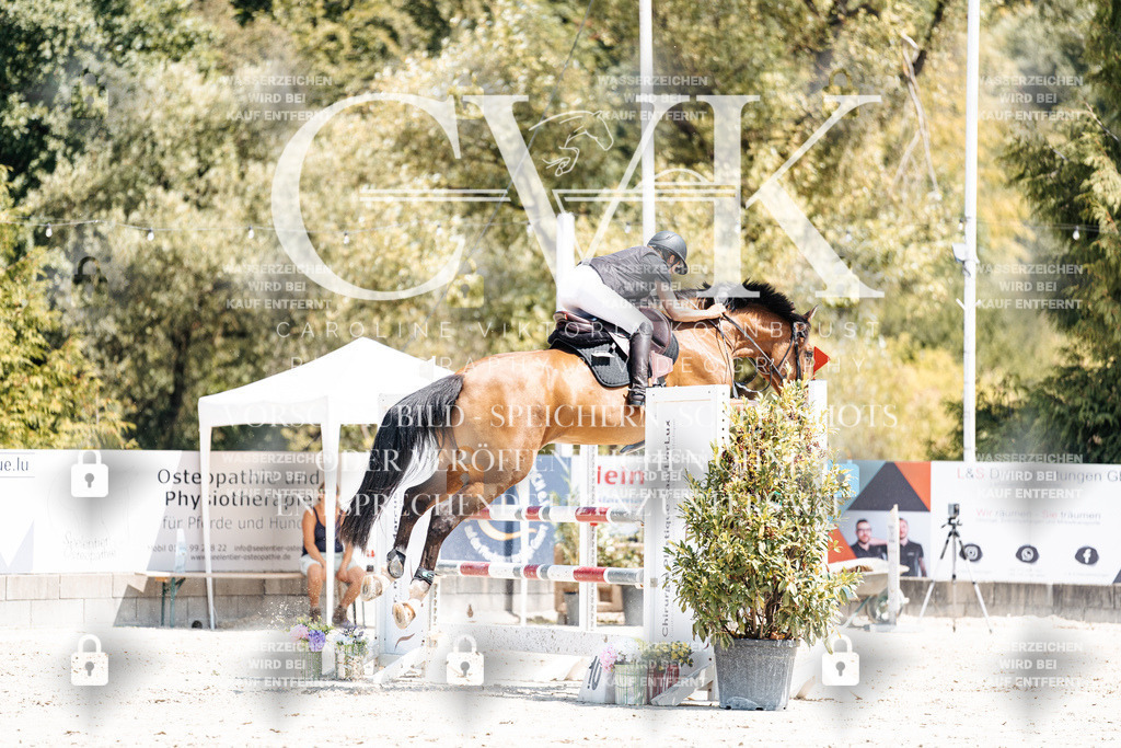 CK900585 | Turnierfotografie Pferdefotografie Trier Rheinland-Pfalz Pferdesport Reitsport Tierfotografie Sportfotografie Pferdevideo Pferdevideografie Equestrianvideography equestrianphotography  - Realisiert mit Pictrs.com