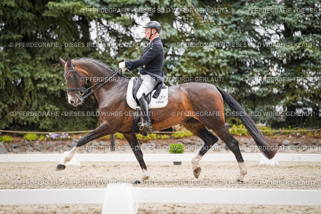 DSC06897 | Pferdegrafie