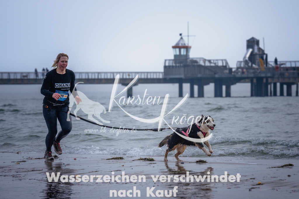 1138_ZZ99645 | kk-dogfotos